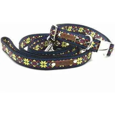 Finnigan's Stylish Custom Dog Collar Set