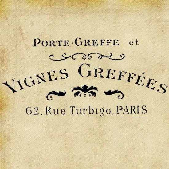 Stencil vintage French - VIGNES GREFFEES