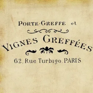 Stencil vintage French - VIGNES GREFFEES